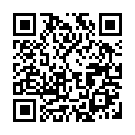 To view this 2015 Ford Taurus Muncy PA from Pic Bros Auto Sales, please scan this QR code with your smartphone or tablet to view the mobile version of this page.