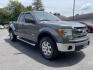 2013 Ford F-150 FX4 with an 3.5L Eco Boost engine, Automatic Overdrive transmission, located at 101 N. Main Street, Muncy, PA, 17756, (570) 546-5462, 41.207691, -76.785942 - Photo#1