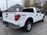 2014 White Ford F-150 XLT SuperCrew 6.5-ft. Bed 4WD (1FTFW1ET9EK) with an 3.5L V6 TURBO engine, 6-Speed Automatic transmission, located at 101 N. Main Street, Muncy, PA, 17756, (570) 546-5462, 41.207691, -76.785942 - Photo#3