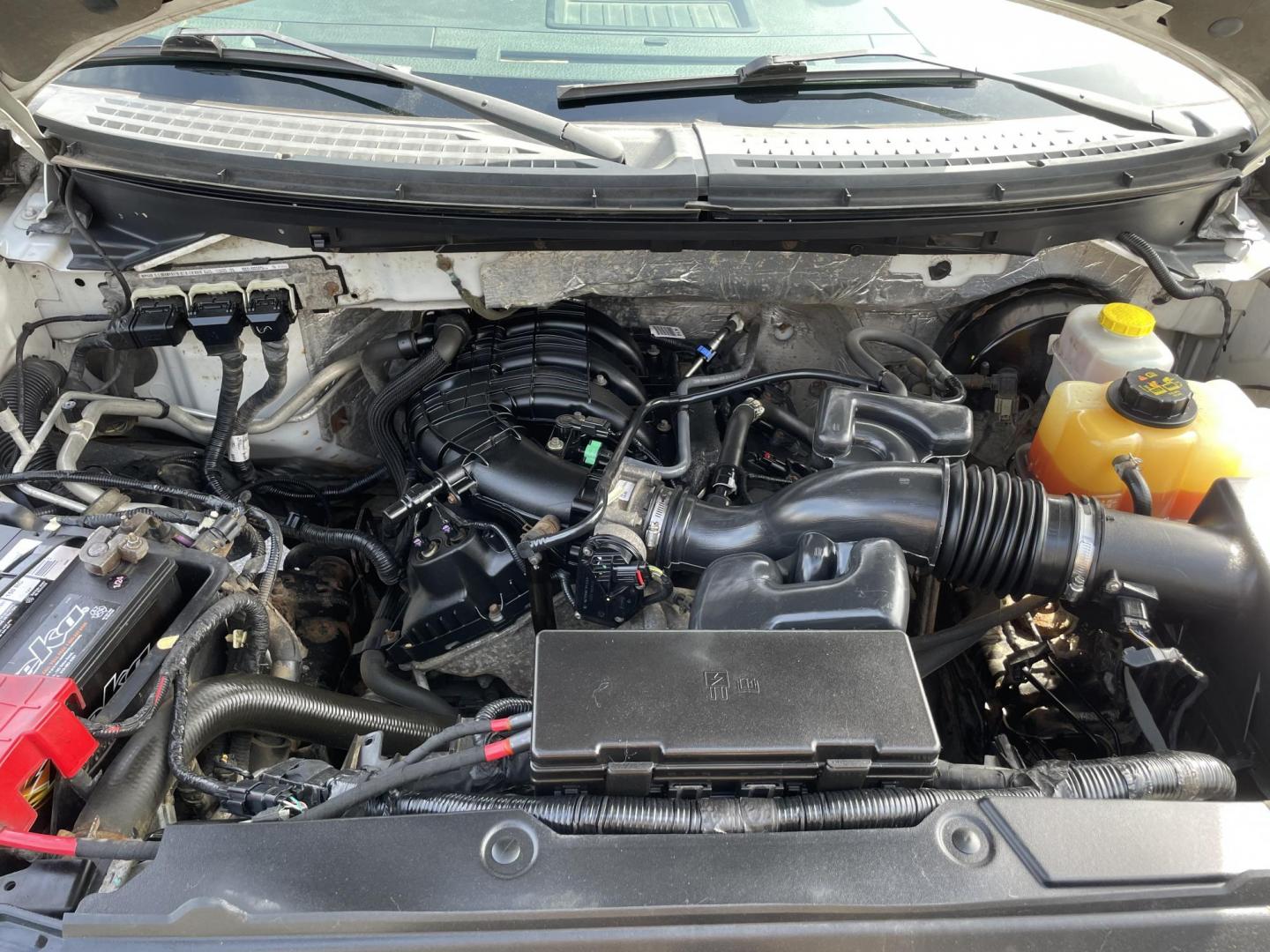 2014 White Ford F-150 XL Work Truck 2WD (1FTMF1CMXEK) with an 3.7L V6 DOHC 24V engine, 6-Speed Automatic transmission, located at 101 N. Main Street, Muncy, PA, 17756, (570) 546-5462, 41.207691, -76.785942 - Photo#7